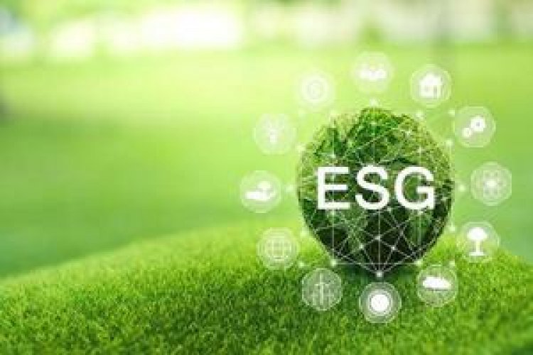 ESG Investing - Is it really all it's made out to be?